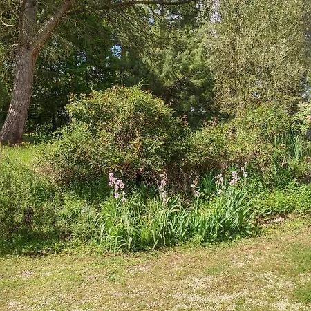 Moulin De Bonnigon
